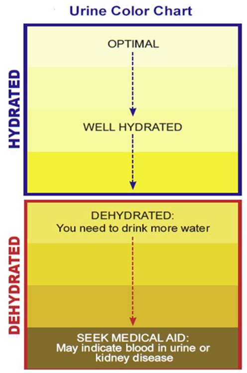 Urine Color Chart for Hydration